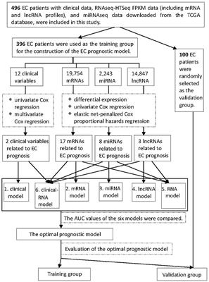 A Novel Prognostic Model of Endometrial Carcinoma Based on Clinical Variables and Oncogenomic Gene Signature